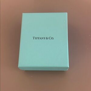 Tiffany & Co. Turquoise Gift Box